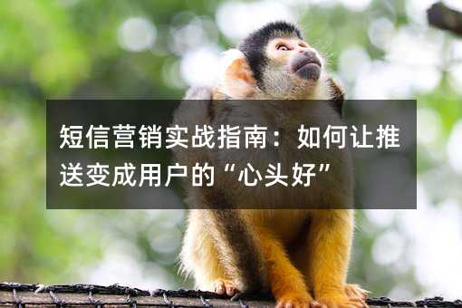 ����Ӫ��ʵսָ�ϣ���������ͱ���û��ġ���ͷ�á�