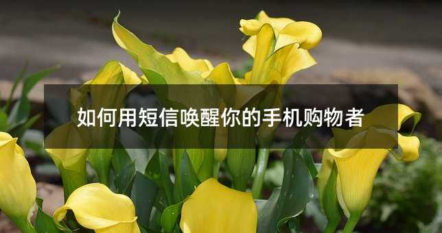 如何用短信唤醒你的手机购物者
