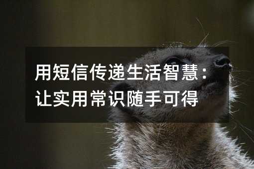 用短信传递生活智慧:让实用常识随手可得