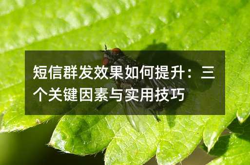 短信群发效果如何提升:三个关键因素与实用技巧