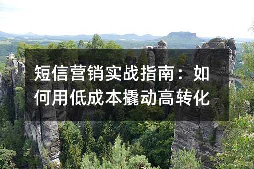 短信营销实战指南:如何用低成本撬动高转化