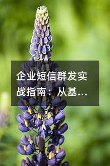 企业短信群发实战指南:从基础操作到精准营销