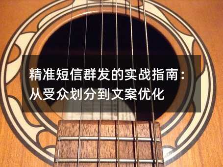 精准短信群发的实战指南:从受众划分到文案优化