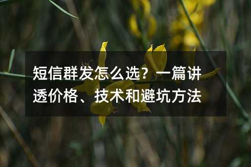 短信群发怎么选?一篇讲透价格、技术和避坑方法