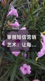 掌握短信营销艺术:让每条信息都成为成交契机