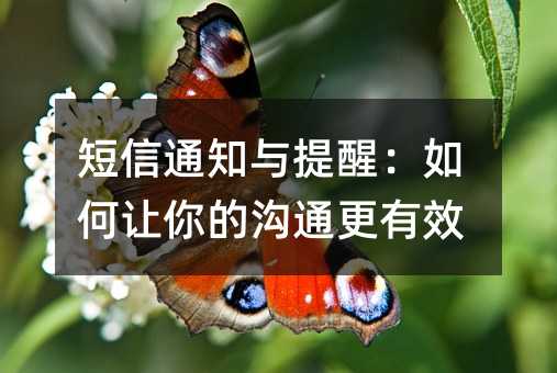短信通知与提醒:如何让你的沟通更有效