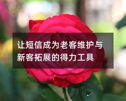 �ö��ų�Ϊ�Ͽ�ά�����¿���չ�ĵ�������