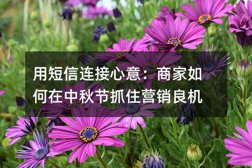 用短信连接心意:商家如何在中秋节抓住营销良机
