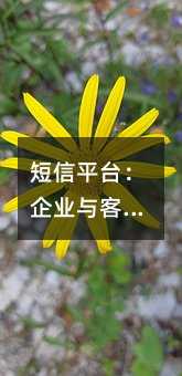 ����ƽ̨����ҵ��ͻ���ͨ�ĸ�Ч����