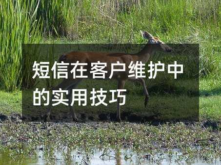 短信在客户维护中的实用技巧