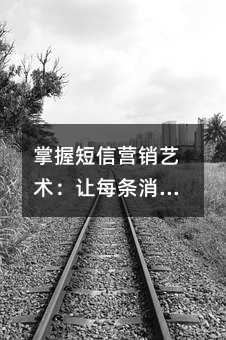 掌握短信营销艺术:让每条消息都成为客户关注的焦点