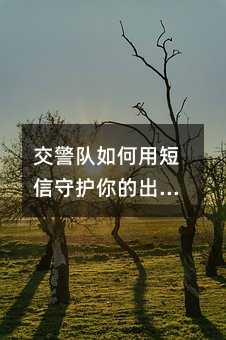 ½»¾¯¶ÓÈçºÎÓöÌÐÅÊØ»¤ÄãµÄ³öÐа²È«