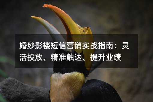 ��ɴӰ¥����Ӫ��ʵսָ�ϣ����Ͷ�š���׼�������ҵ��