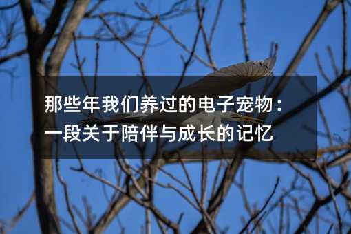 ��Щ�����������ĵ��ӳ��һ�ι��������ɳ��ļ���