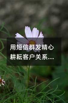 用短信群发精心耕耘客户关系:提升忠诚度的实战指南