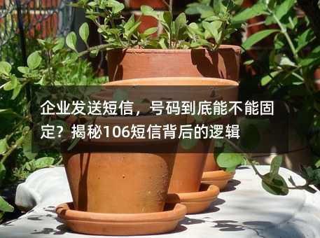 企业发送短信,号码到底能不能固定?揭秘106短信背后的逻辑
