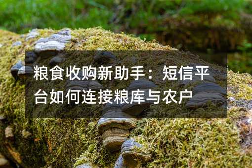 粮食收购新助手:短信平台如何连接粮库与农户