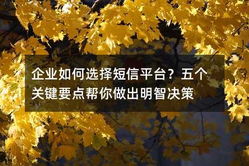 企业如何选择短信平台?五个关键要点帮你做出明智决策