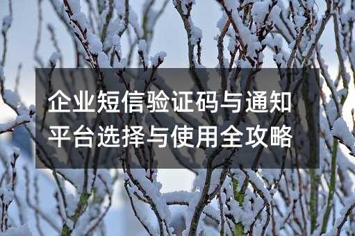 ��ҵ������֤����֪ͨƽ̨ѡ����ʹ��ȫ����