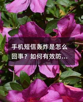 手机短信轰炸是怎么回事?如何有效防范保护自己