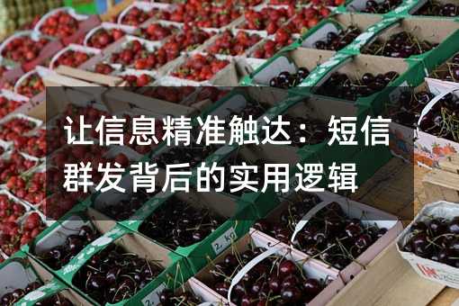 让信息精准触达:短信群发背后的实用逻辑