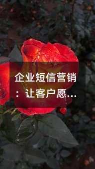 企业短信营销:让客户愿意打开你的每一条消息
