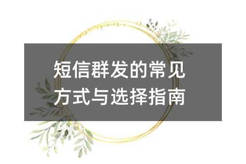 短信群发的常见方式与选择指南