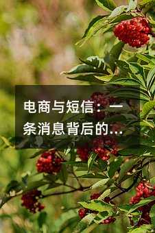 电商与短信:一条消息背后的生意经