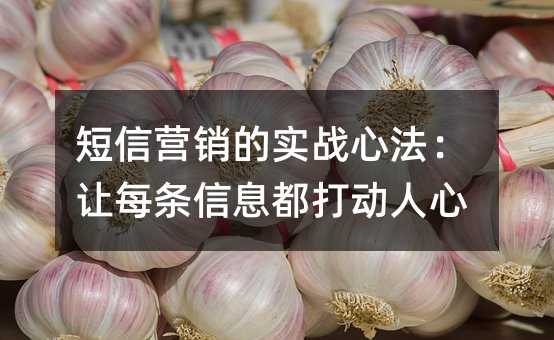 短信营销的实战心法:让每条信息都打动人心