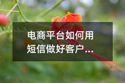 电商平台如何用短信做好客户服务