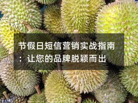 �ڼ��ն���Ӫ��ʵսָ�ϣ�������Ʒ����ӱ����