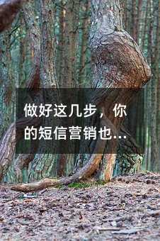 做好这几步,你的短信营销也能事半功倍