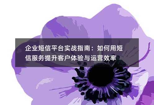 ��ҵ����ƽ̨ʵսָ�ϣ�����ö��ŷ��������ͻ���������ӪЧ��
