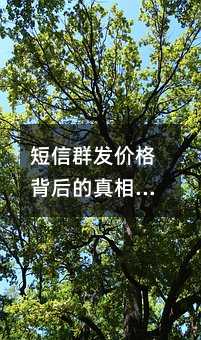 短信群发价格背后的真相:选择平台时要注意什么