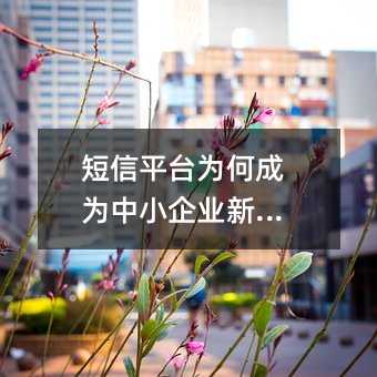 短信平台为何成为中小企业新宠儿