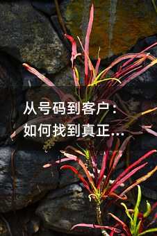 �Ӻ��뵽�ͻ�������ҵ�������Ҫ��������
