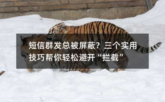 短信群发总被屏蔽?三个实用技巧帮你轻松避开“拦截”