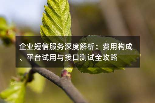 ��ҵ���ŷ�����Ƚ��������ù��ɡ�ƽ̨������ӿڲ���ȫ����