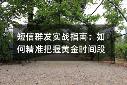 短信群发实战指南:如何精准把握黄金时间段