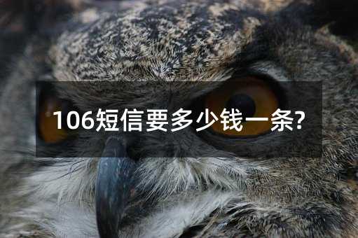 106短信要多少钱一条?