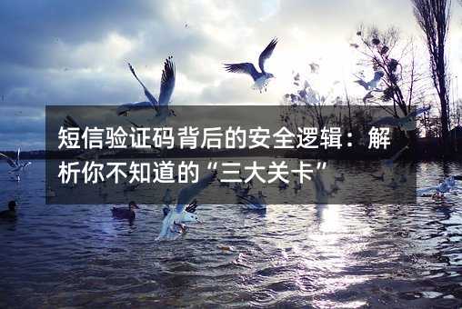 短信验证码背后的安全逻辑:解析你不知道的“三大关卡”
