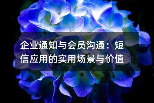 企业通知与会员沟通:短信应用的实用场景与价值