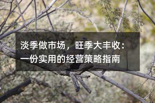 淡季做市场,旺季大丰收:一份实用的经营策略指南