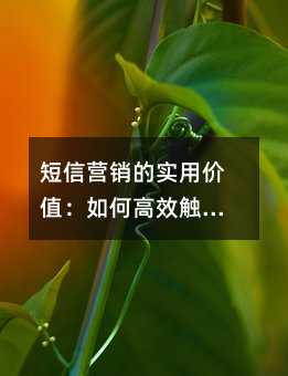 短信营销的实用价值:如何高效触达你的客户