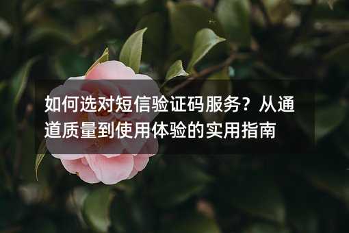 ���ѡ�Զ�����֤����񣿴�ͨ��������ʹ�������ʵ��ָ��