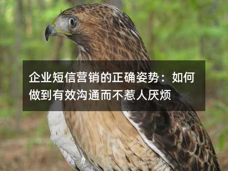 企业短信营销的正确姿势:如何做到有效沟通而不惹人厌烦