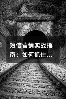 ����Ӫ��ʵսָ�ϣ����ץס�ͻ�����������Ӫ��Ч��
