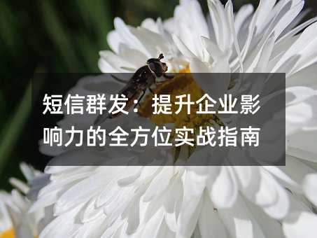 短信群发:提升企业影响力的全方位实战指南