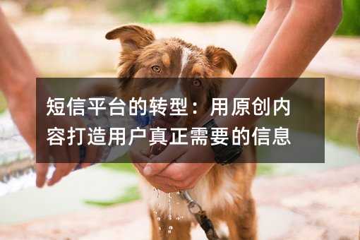短信平台的转型:用原创内容打造用户真正需要的信息