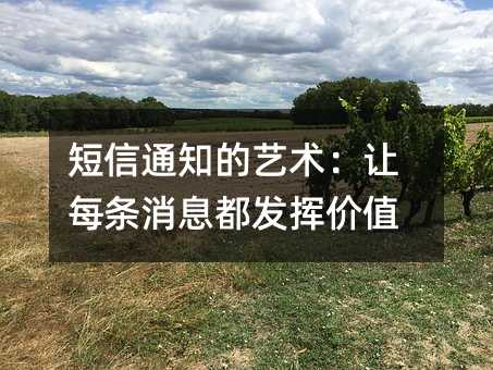短信通知的艺术:让每条消息都发挥价值